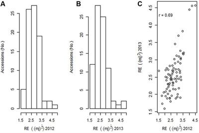 Molecular Diversity Analysis and Genetic Mapping of Pod Shatter Resistance Loci in Brassica carinata L.